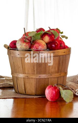 Wooden basket filled with freshly picked wild red apples on a table Stock Photo