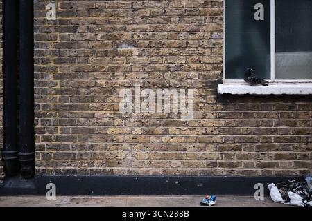 Brown brick wall with pigeon and some litter  garbage and black metal drain Stock Photo