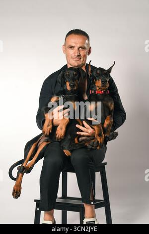 Man sitting with two Doberman puppies on his lap in studio portrait Stock Photo