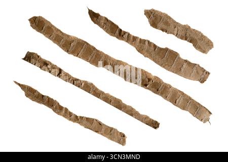 A set of elongated, torn cardboard papers designed for use as a separator line in graphic design. Stock Photo