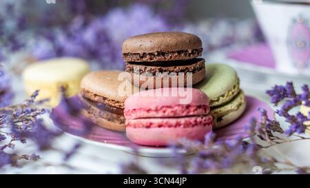 Elegant macarons in various colors are beautifully arranged on a delicate plate, surrounded by lavender flowers, creating a luxurious and indulgent at Stock Photo
