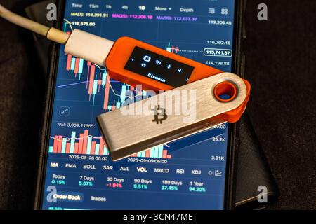 Close-up view of two hardware wallets, one orange and one silver, both featuring Bitcoin symbols. A smartphone with a Bitcoin price chart adds to the Stock Photo