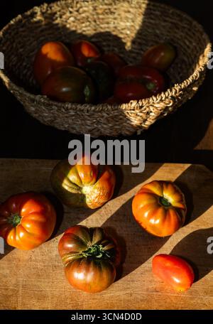 organic ripe tomatoes freshly picked Stock Photo