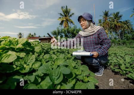 Young farmer take photo some growth vegetable filed in mobile phone, hydroponic eco organic modern smart farm 4.0 technology concept Stock Photo