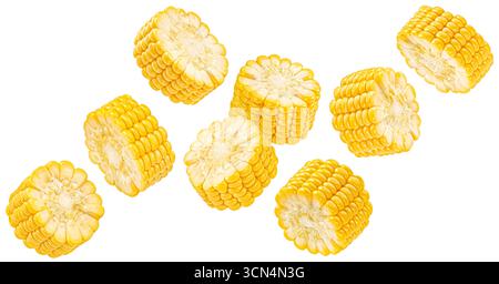 Falling corn cob slices isolated on white background, full depth of field Stock Photo