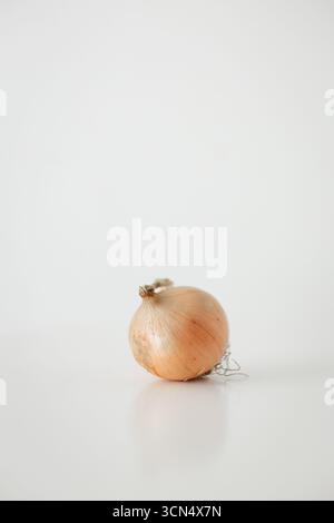 Single onion resting on white reflective surface for cookbook Stock Photo