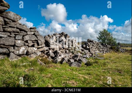 granite dry stone wall, Minions Bodmin moor, Cornwall. Stock Photo
