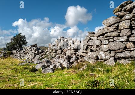 granite dry stone wall, Minions Bodmin moor, Cornwall. Stock Photo