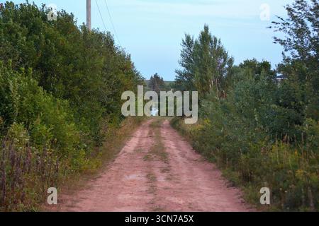 Red dirt road through green countryside – rural landscape Stock Photo