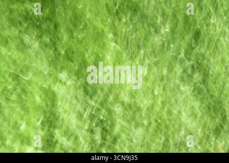 An artistic background created with intentional camera movement (ICM) on green foliage. A dynamic and abstract texture representing nature, energy, fr Stock Photo