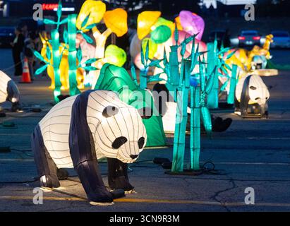 Mississauga, Canada. 19th Sep, 2025. Lanterns are seen at the Mid-Autumn and Lanterns Festival in Mississauga, Ontario, Canada, Sept. 19, 2025. The three-day festival kicked off here Friday to celebrate the upcoming Mid-Autumn Festival. Credit: Zou Zheng/Xinhua/Alamy Live News Stock Photo