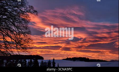 A dramatic sunrise in the Swiss countryside with fiery orange cloud formations glowing in the sky and a dark tree silhouette in the foreground Stock Photo