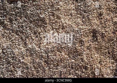 Fragment of a rocky surface. For use as an abstract background and textures. Stock Photo