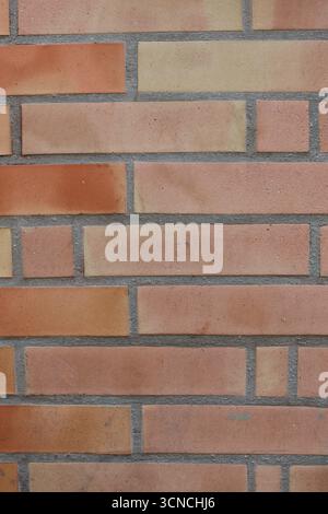 Vertical photography with orange brick wall. Stock Photo