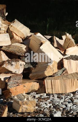 Vertical photography of firewoods. Chopped firewood on the ground. Stock Photo