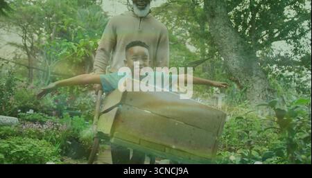 Grandpa in pullover pushing wheelbarrow carrying grandson flying on garden path, with potted plants Stock Photo