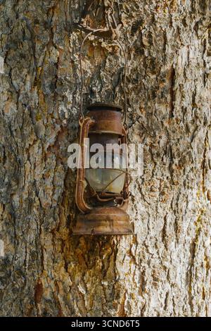 Close-up of an old rusty kerosene lantern hanging on the bark of a tree, creating a rustic outdoor scene with vintage atmosphere and textured wood bac Stock Photo