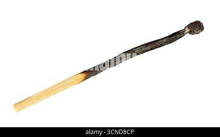 strongly burnt household wooden match isolated on white background Stock Photo