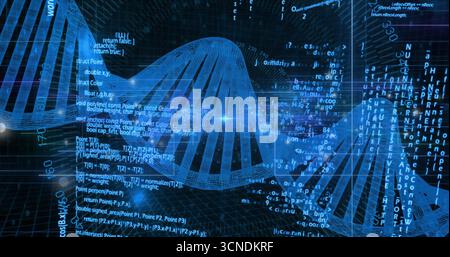 Displaying stylized 3D wireframe DNA helix floating over grid lines, with code and data overlays Stock Photo