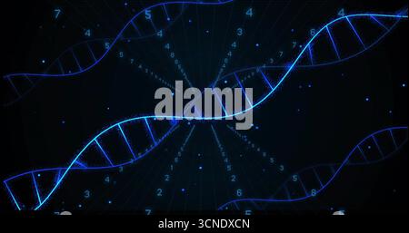 Displaying glowing blue DNA helix in virtual interface, with radial grid lines and floating numbers Stock Photo