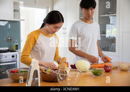 Asian couple mixing salad ingredients in bowl and slicing carrots on home kitchen island Stock Photo