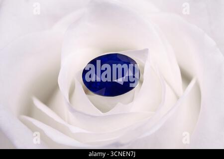 A blue gemstone is set in the center of a white rose. The blue stone is surrounded by the petals of the rose, creating a beautiful and elegant display Stock Photo