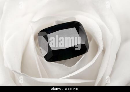 A black gemstone is on top of a white rose. The rose is the main focus of the image, but the black gemstone adds a sense of contrast and intrigue Stock Photo