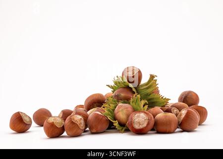 A pile of nuts with a green leaf on top. The nuts are scattered and some are broken Stock Photo