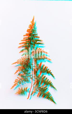 Asparagus fern leaf with digital glitch effect, blending natural foliage with futuristic distortion aesthetics. A surreal mix of organic texture and p Stock Photo