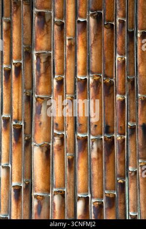Close-up of wall made of burnt bamboo stalks. Natural texture with brown and black spots. Stock Photo