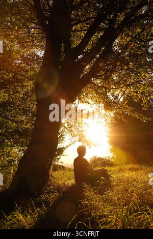 Man sitting on a meadow under a tree and enjoying nature with the low sun shining bright and warm behind him Stock Photo