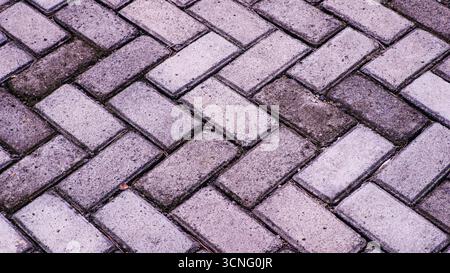 Close-up of interlocking brick pavement with a herringbone pattern in the zoo area. Stock Photo