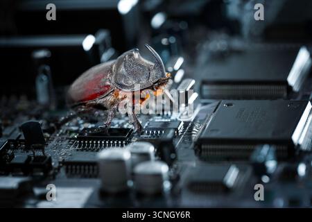 Concept of computer error, embedded malware, virus, hacking, unauthorized access to information Stock Photo