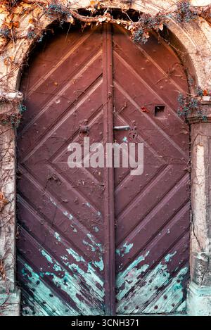 A vintage wooden door with faded brown paint, peeling turquoise accents, and dry ivy vines creating a rustic, textured atmosphere. Stock Photo