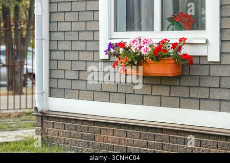 flower pots on the facade of the house Stock Photo