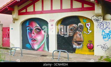 Graffiti artwork on two garage doors in an urban setting, showing colorful street art with detailed designs, captured from a frontal perspective Stock Photo
