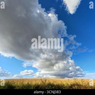 Blue sky, dramatic Cumulonimbus clouds, arable landscape Stock Photo