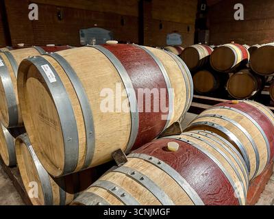 Elegant wine tasting rooms, oak barrel cellars, and curated displays of fine Chilean wines at a vineyard estate in the Casablanca Valley near Valparaí Stock Photo