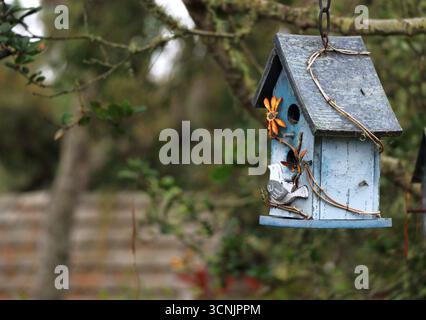 Quaint, blue decorative wooden birdhouse hangs from a tree in a garden in Carmel-by-the-Sea, CA. Stock Photo