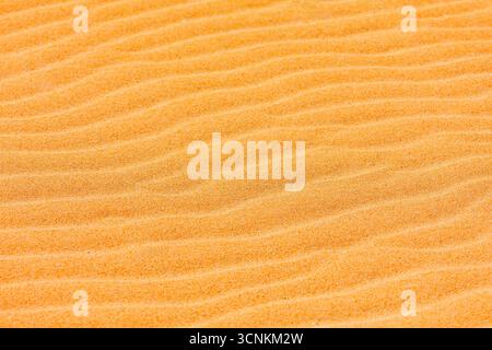 Warm desert sand with intricate wind formed ripples creating a captivating, abstract natural background. Themes of nature, travel, texture, and dry la Stock Photo