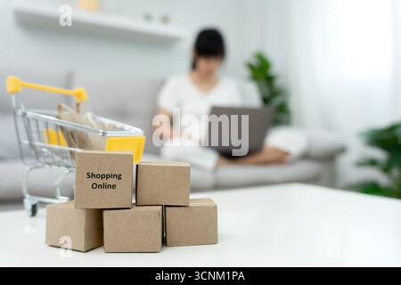woman using laptop for online shopping at home. st Stock Photo