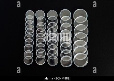 Transparent Plastic Coin Capsules Covers Arranged in Rows on Black Background Stock Photo