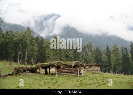 A shed or barn used to store piles of cut pine logs for building houses and for fuel at Pahagam. Located in Jammu-Kashmir, India. Stock Photo