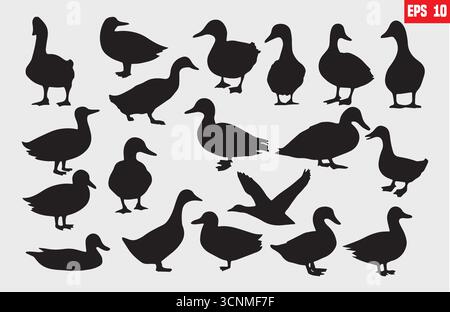 Duck silhouette set collection isolated on white background vector illustration Stock Vector