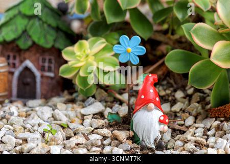 A tiny garden gnome next to  his house with a blue flower Stock Photo