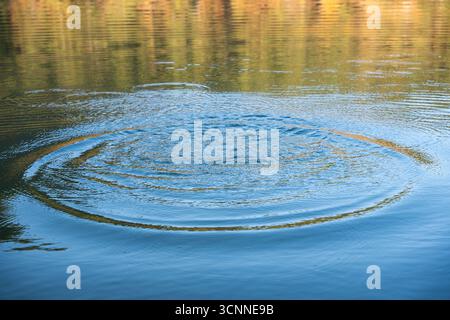 Circular water ripples and bubbles effect. Water ripples and round droplets on blue sea texture pattern background. Liquid motion, Ring effect, circle Stock Photo