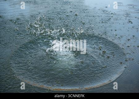 Circular water ripples and bubbles effect. Water ripples and round droplets on blue sea texture pattern background. Liquid motion, Ring effect, circle Stock Photo