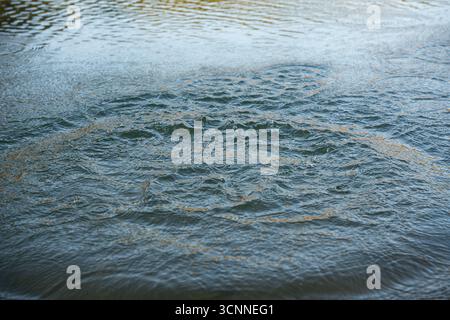 Circular water ripples and bubbles effect. Water ripples and round droplets on blue sea texture pattern background. Liquid motion, Ring effect, circle Stock Photo