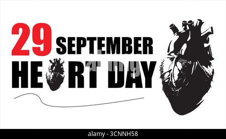 Human Heart Vector – Anatomical Heart with Veins and Arteries Isolated on White Stock Vector