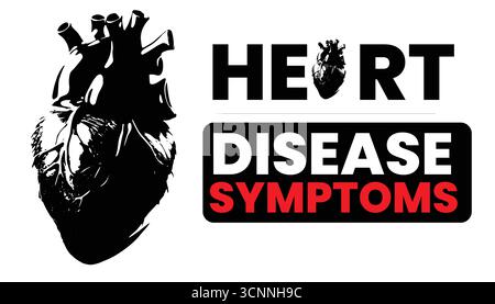 Human Heart Vector – Anatomical Heart with Veins and Arteries Isolated on White Stock Vector